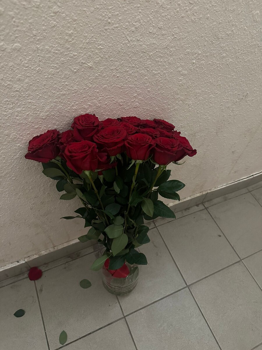 Цветы не виноваты. Росли, росли и оказались выброшены в холодном подъезде на полу.