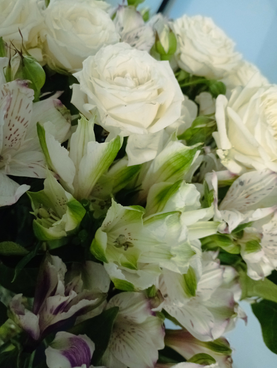 Дочь порадовала букетом в белых тонах