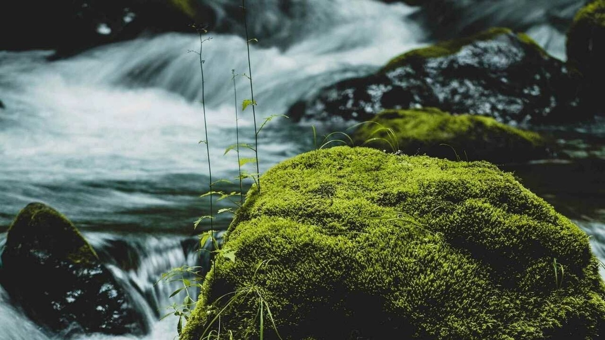 фото из интернета