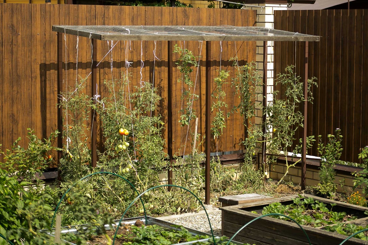 Автор Елена Якимова / Greenfingers