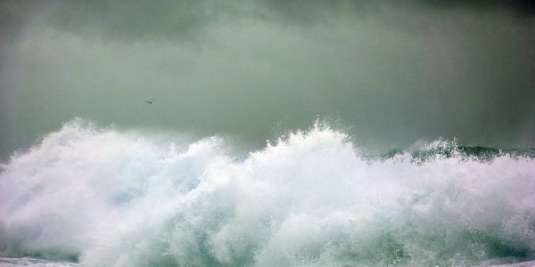    Фото ajs1980518, pixabay.com