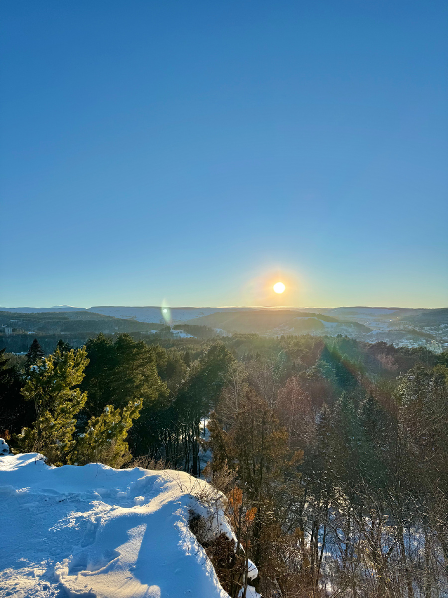 Низкое зимнее солнце, фото Сад в стиле Paradise 