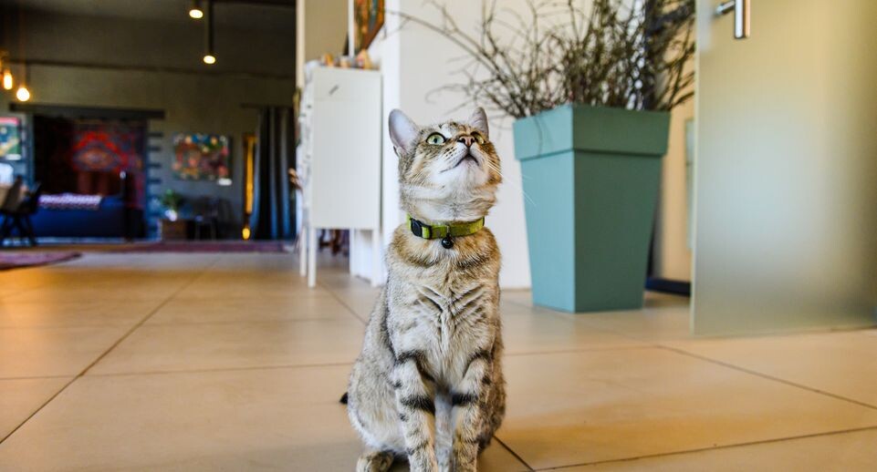    Медиасток.рф