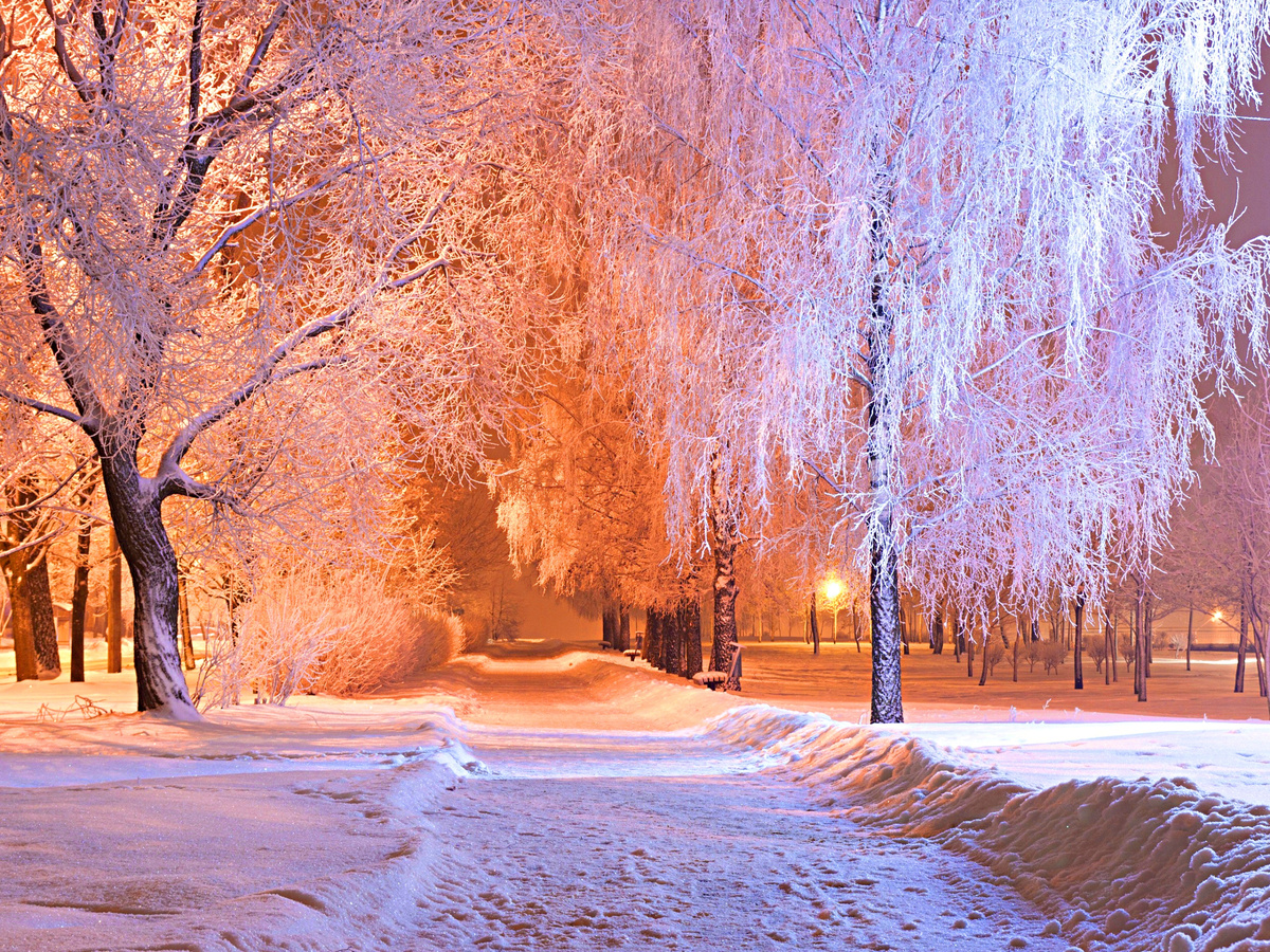 Фото взято из интернета.