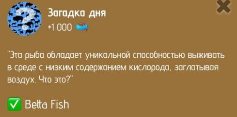 Загадка дня на Zoo