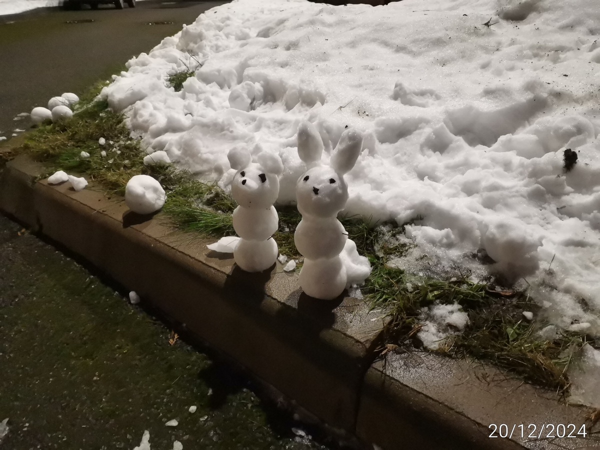 Сегодня в Питере снег тает, +4. Кто-то слепил снеговичков в садике. 