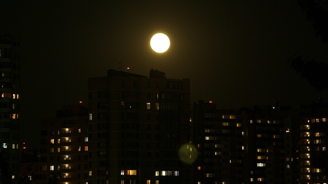    ФОТО: Alexander Legky/Globallookpress