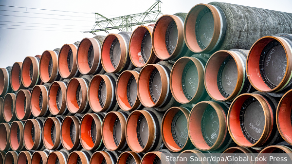     Фото: Stefan Sauer/dpa/Global Look Press   
 Текст: Дарья Григоренко