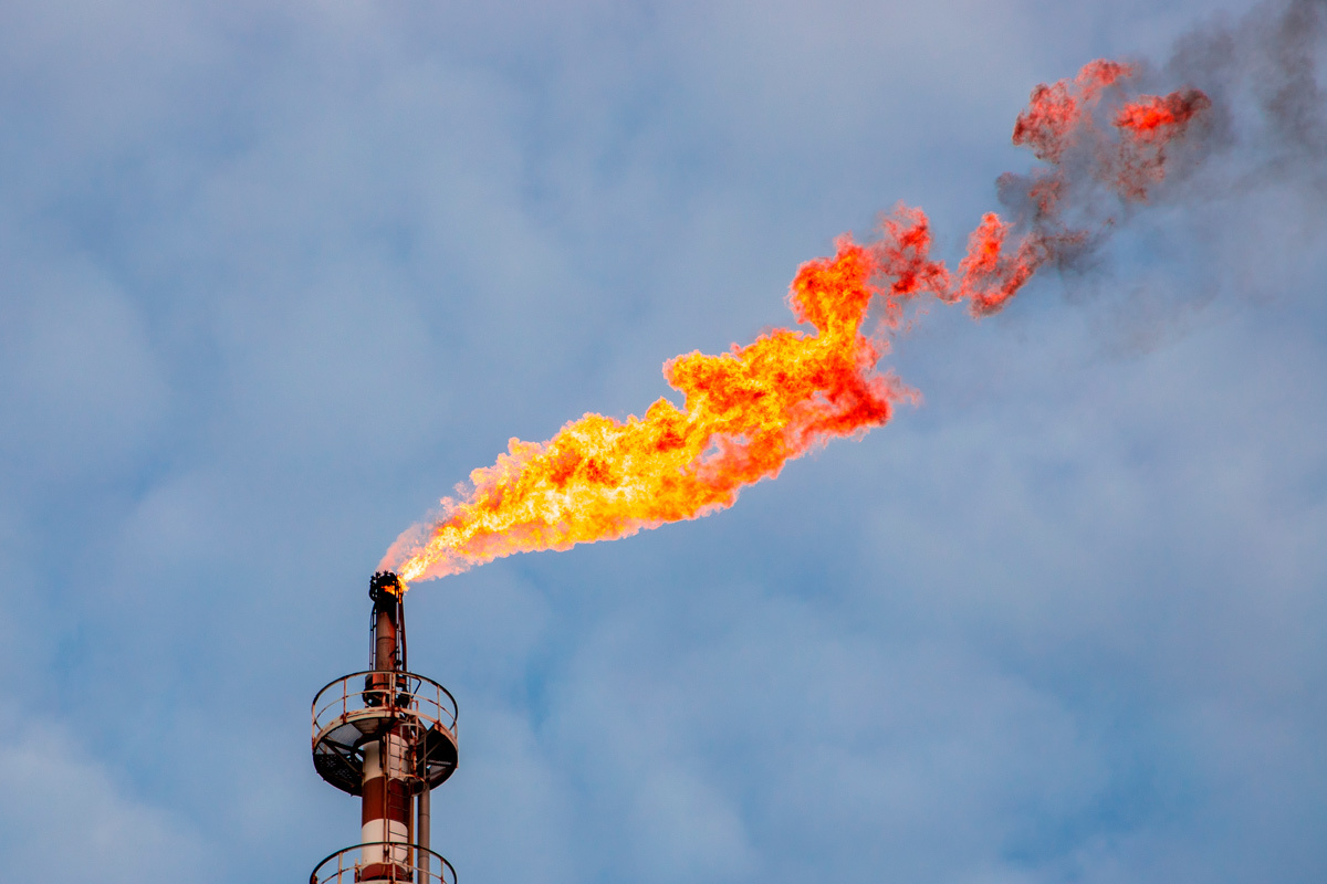    Фото: Sebastian_Photography / Shutterstock.com