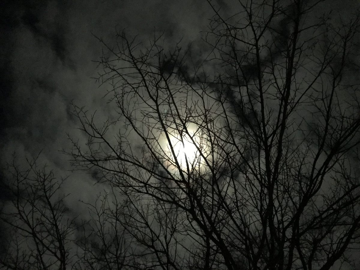 Автор снимка: Наталья Макеева 