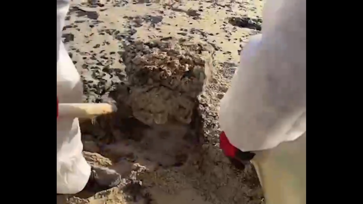 Слой нефти на пляже Анапы