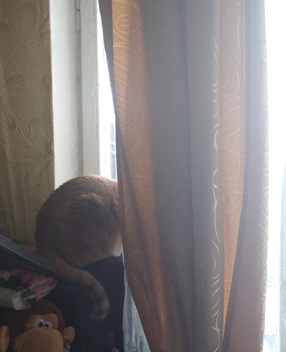 личное фото