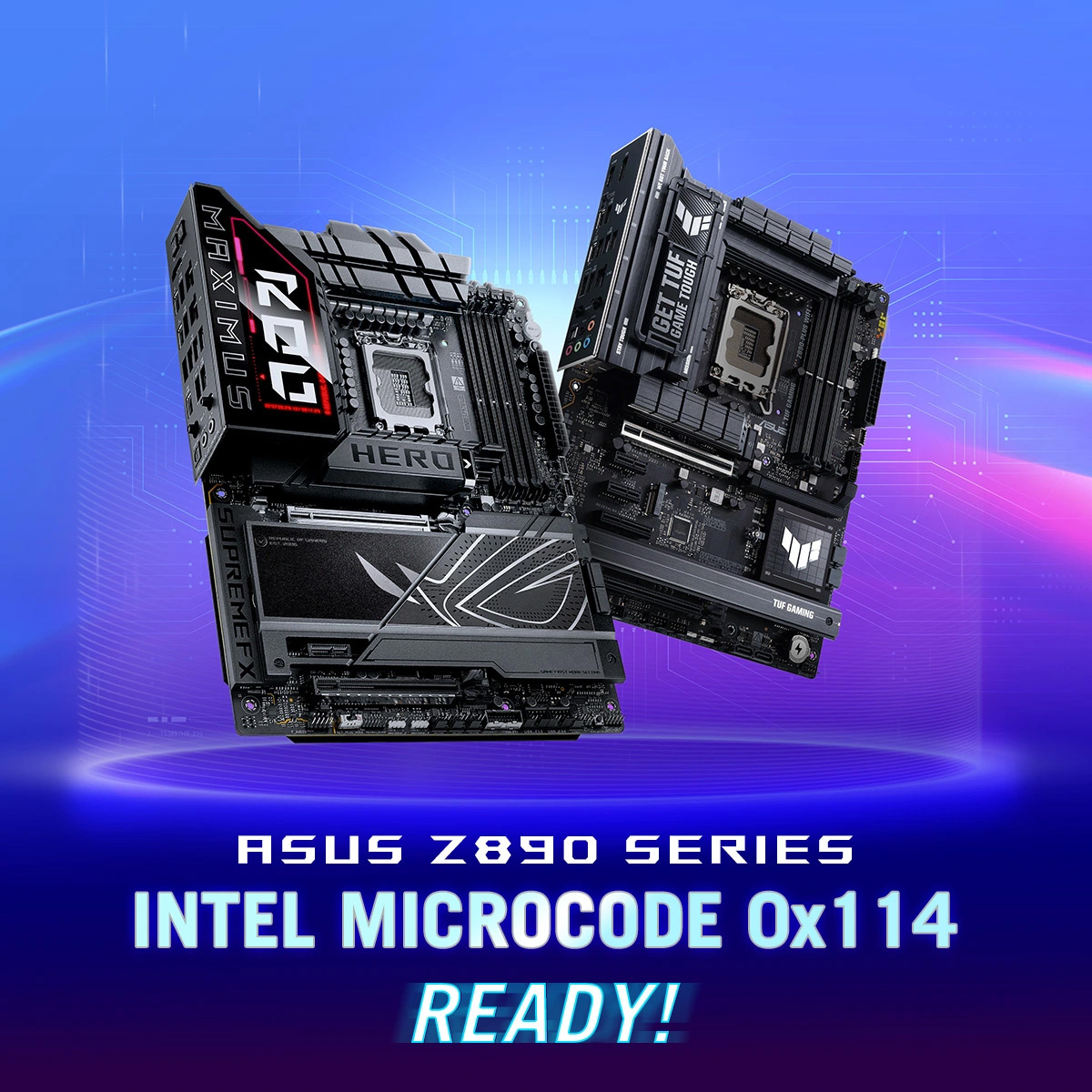 Фото: Asus  📷
