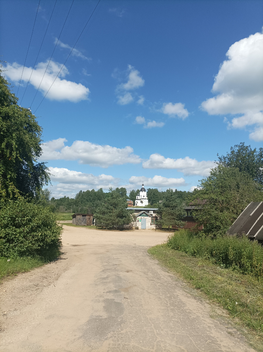 Село Ельцы и Покровская церковь на горизонте.
