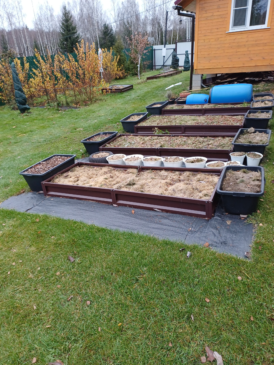 Грядки готовы к зиме! Фото из архива авторов.