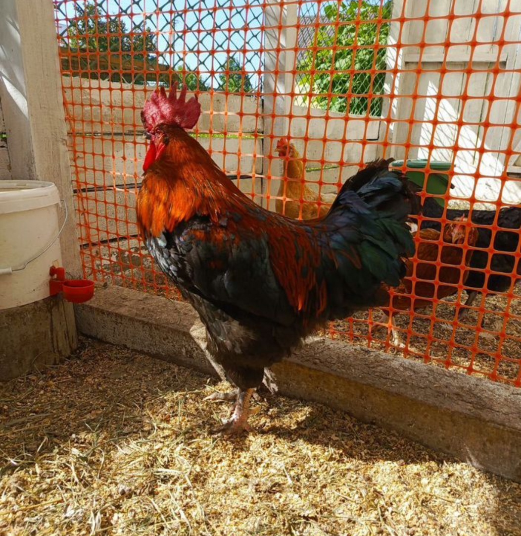 Черномырдин