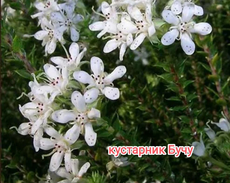 Все фото взяты из открытых источников интернета.