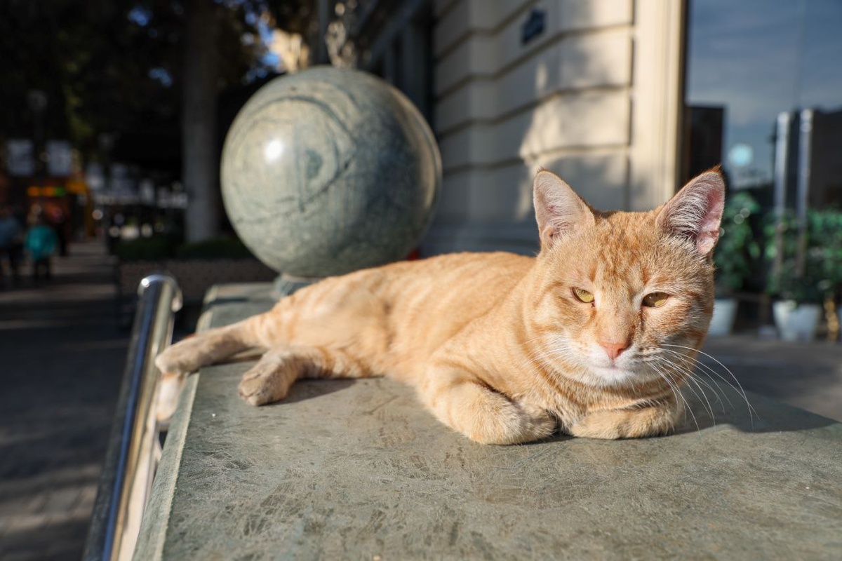 Фото: Global Look Press 