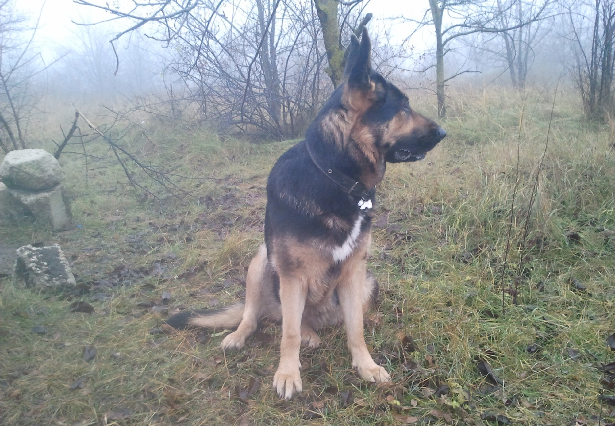 Фото автора