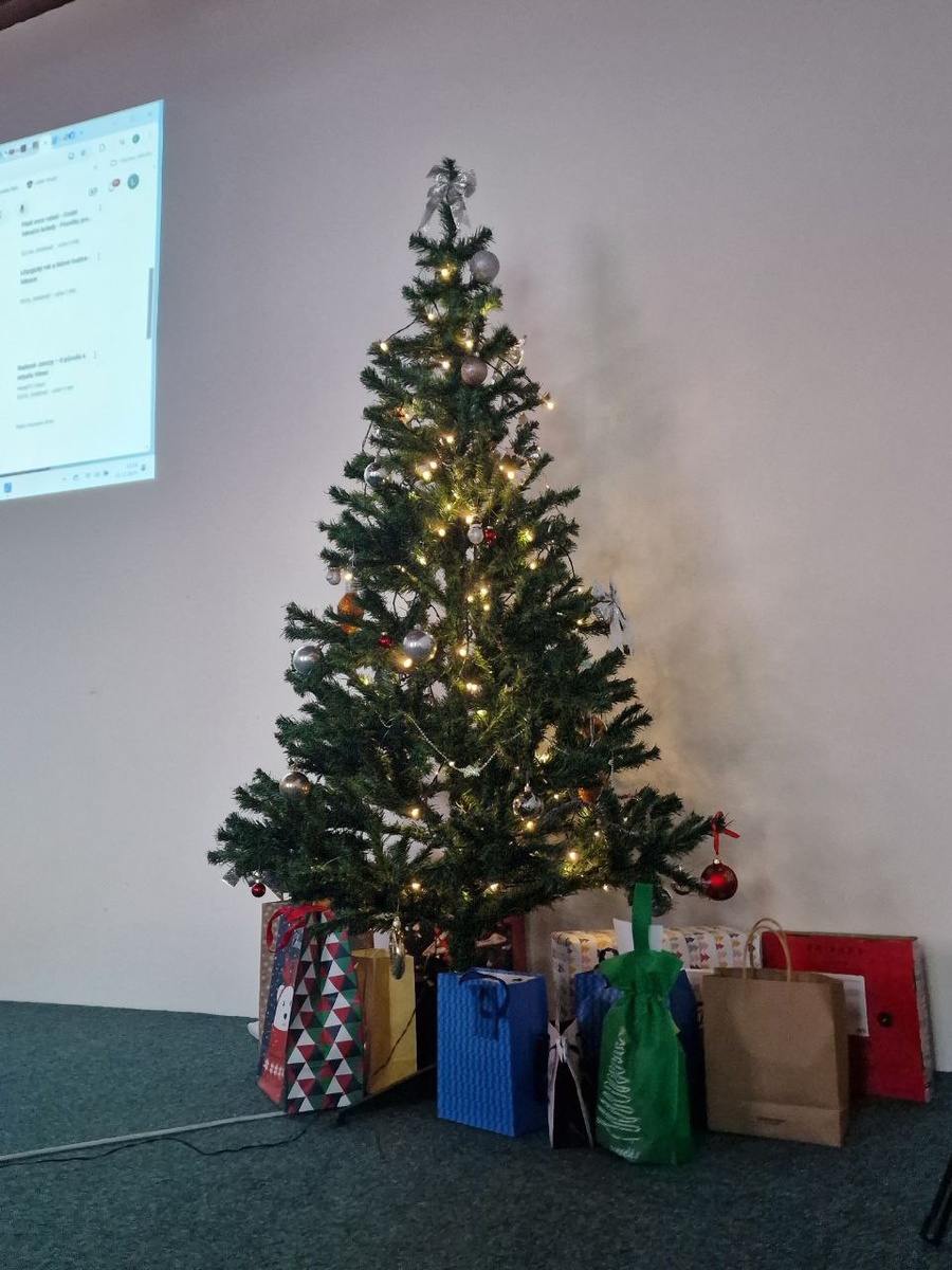 фото автора: вот такая ёлочка красивая у меня на работе получилась