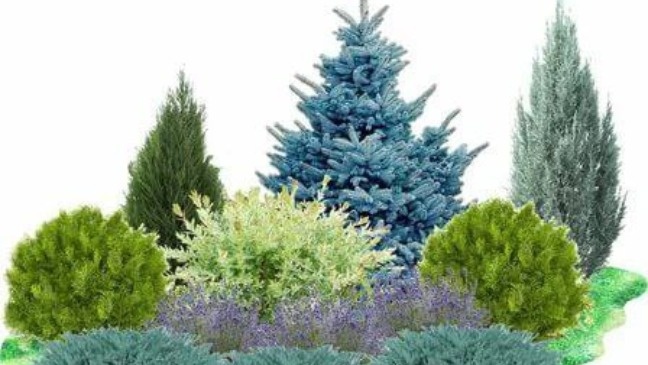 Фото с pinterest.com