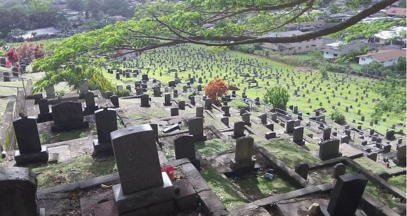 Кладбищенский бизнес - самый прибыльный в мире, наверное. Странно что Маск не на нем разбогател