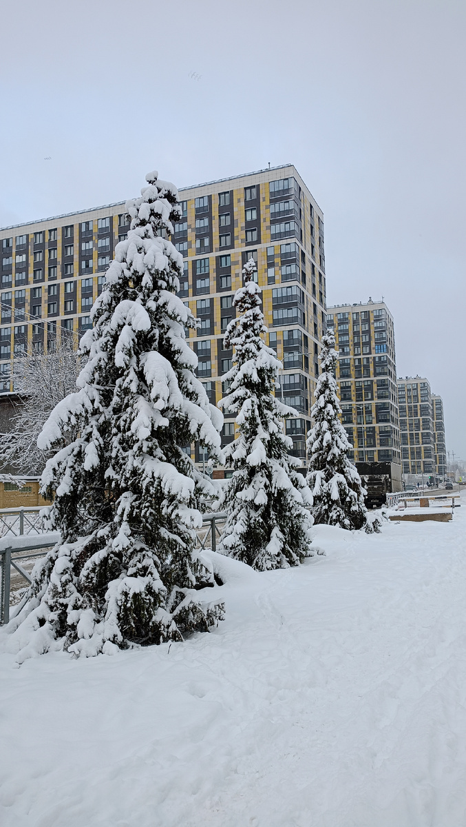 Вот наши переименованные дома