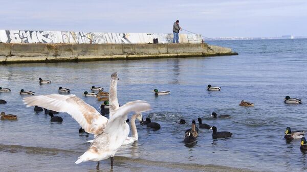    © РИА Новости Крым