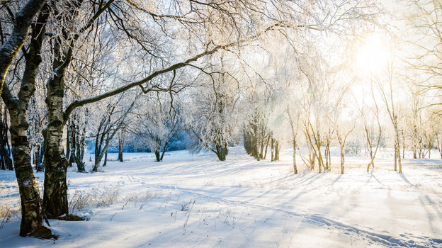    alexkotlov iStock