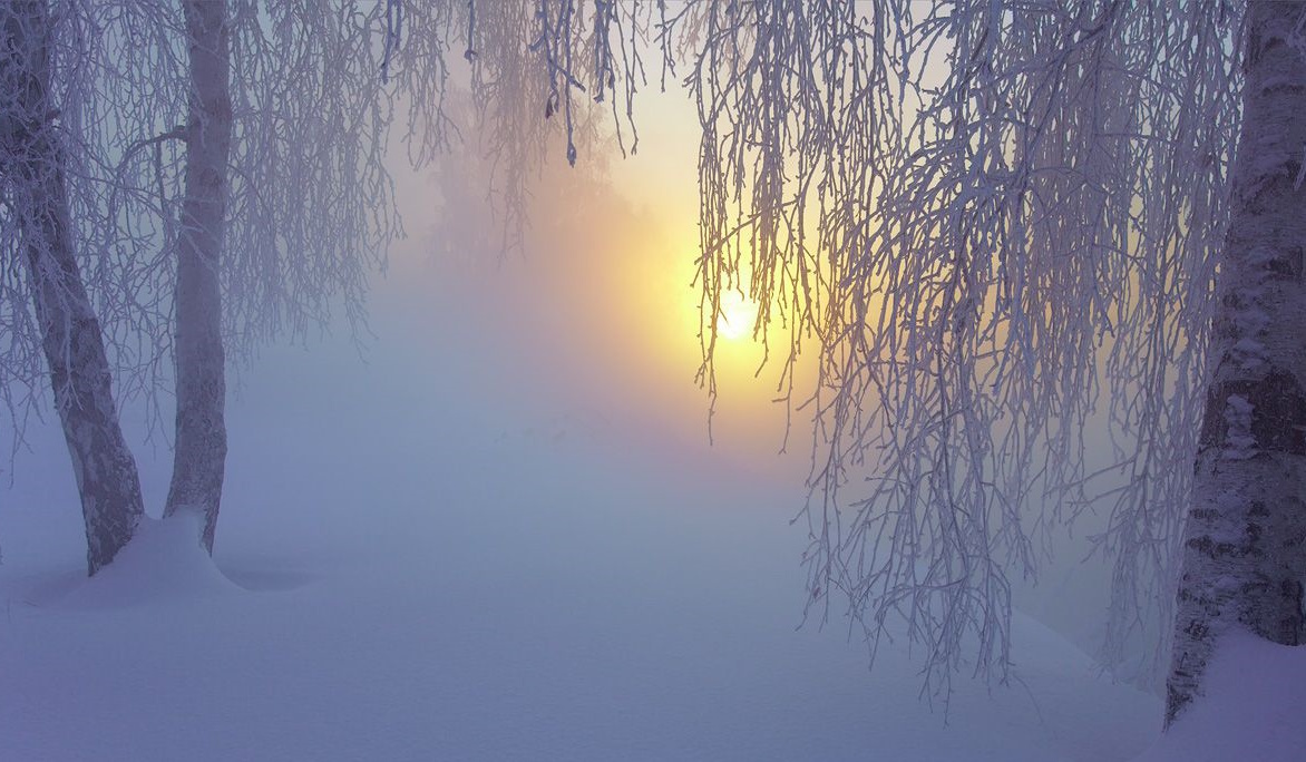 Женщина шла на свет. (Фото: i.pinimg.com).