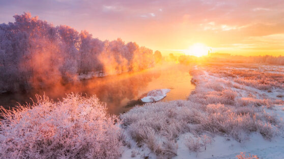    Какой сегодня праздник: 21 декабря – День зимнего солнцестояния Роман Захаров