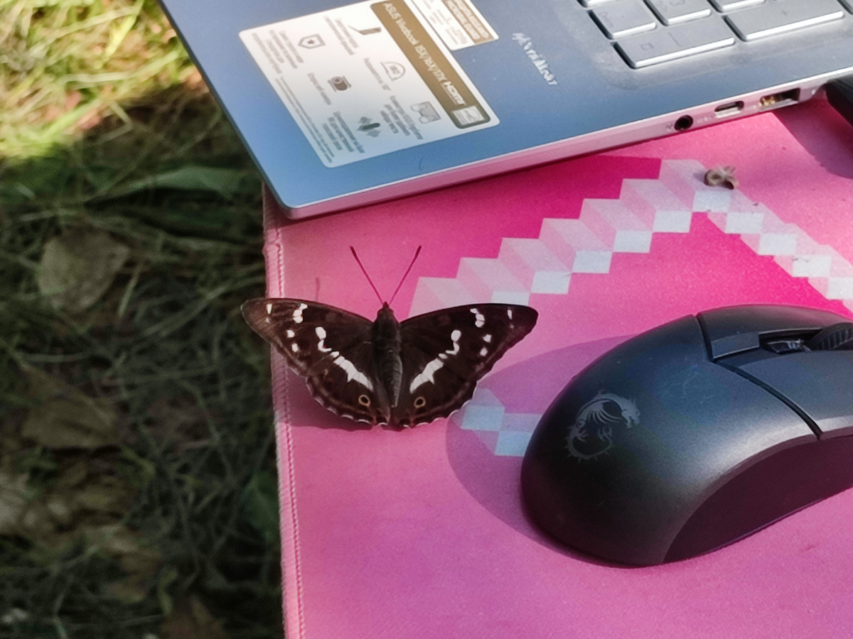 Поймать таежный Дзен