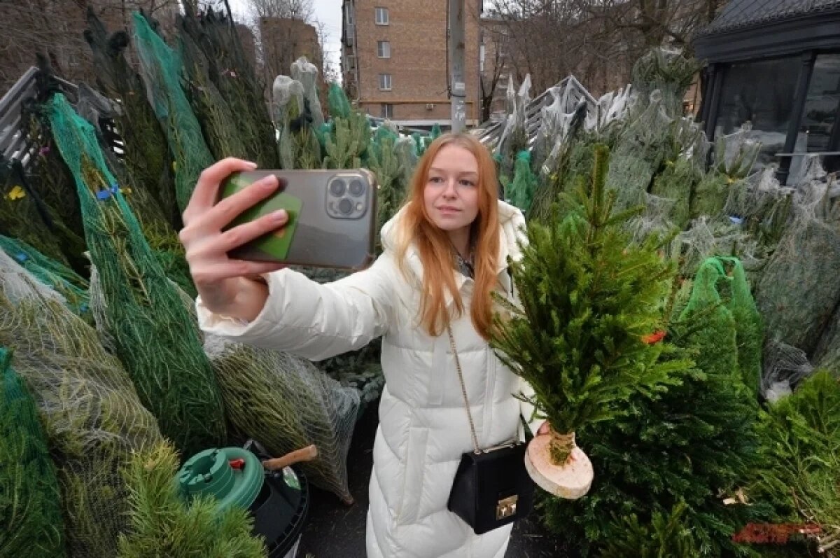    Елочные базары в Южно-Сахалинске 2024.