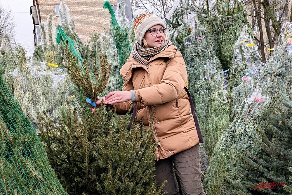    Елочные базары в Москве Фото:  АиФ/ Елена Краснова