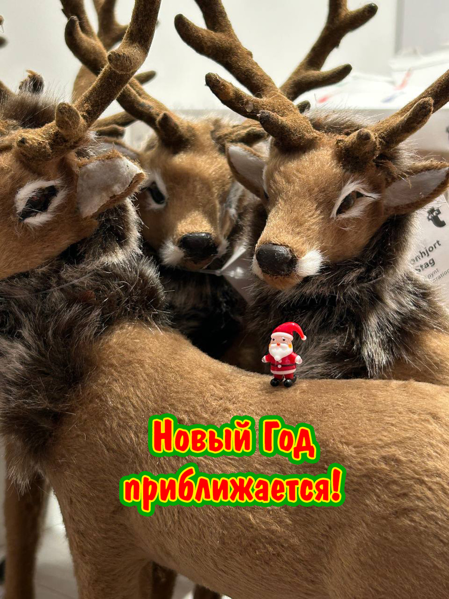 Новый Год приближается!