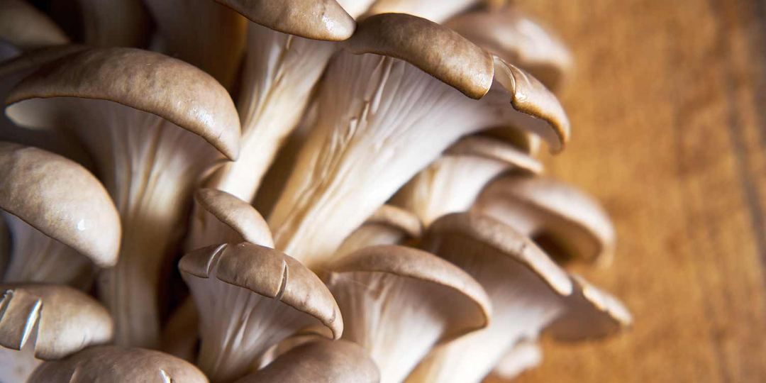 Как приготовить вкусную хрустящую закуску из вешенок