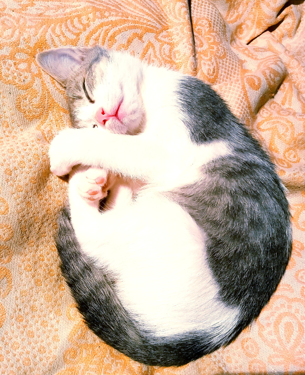 А жизнь - это серьезно? О да, но не очень...