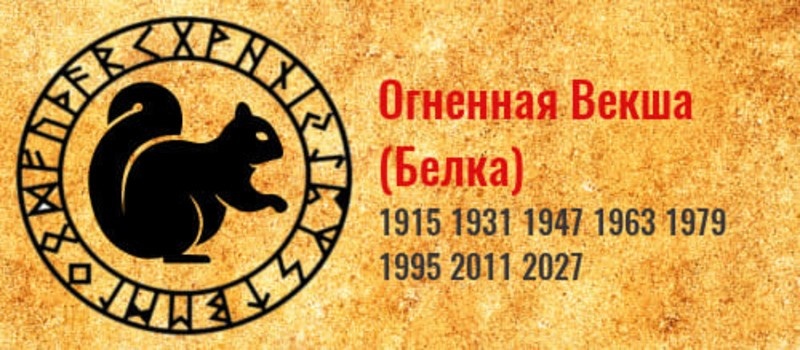 Изображение из открытого источника