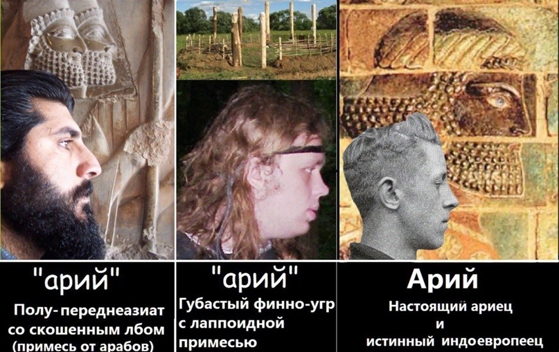Как выглядят арийцы разных стран