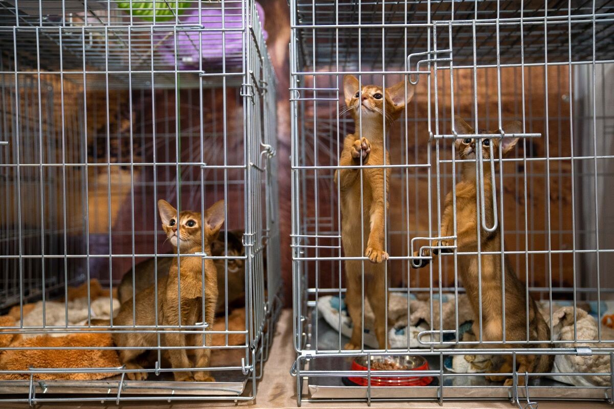 Фото: Александр Плонский / «ВиЖ»