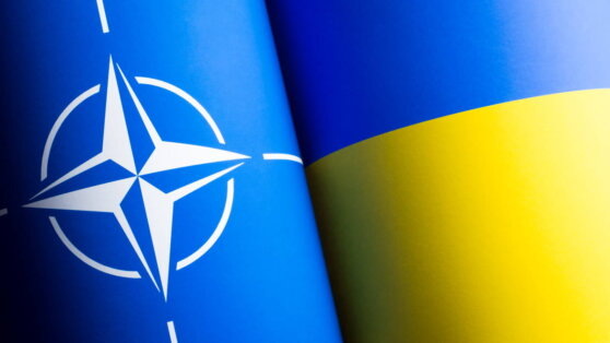   Фицо рассказал, как Зеленский предлагал ему взятку €500 млн за согласие с членством Украины в НАТО Егор Гордеев