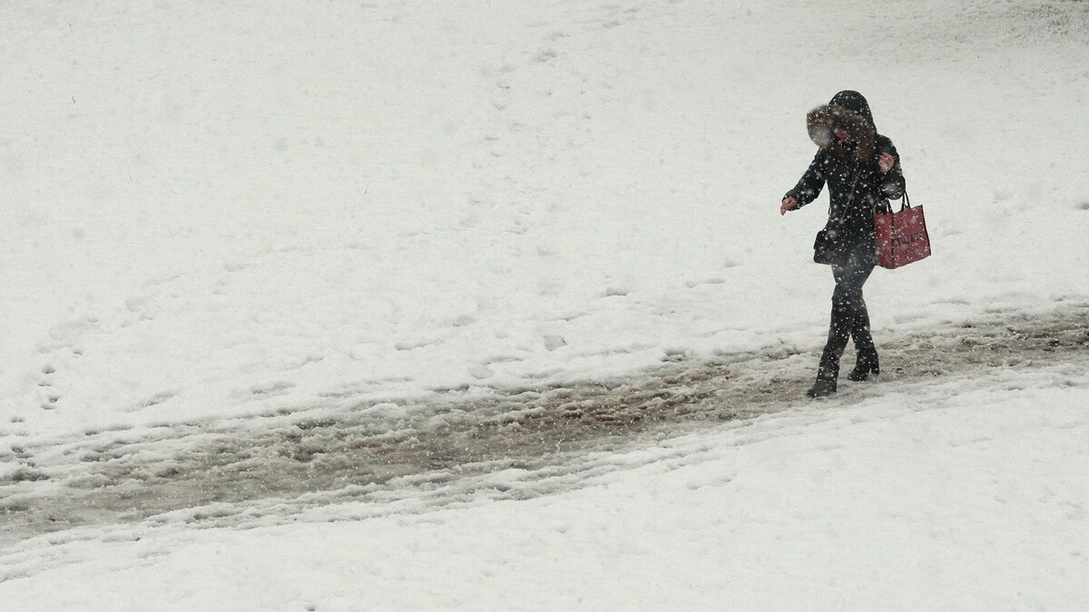    Фото: Hennadii Minchenko/globallookpress.com