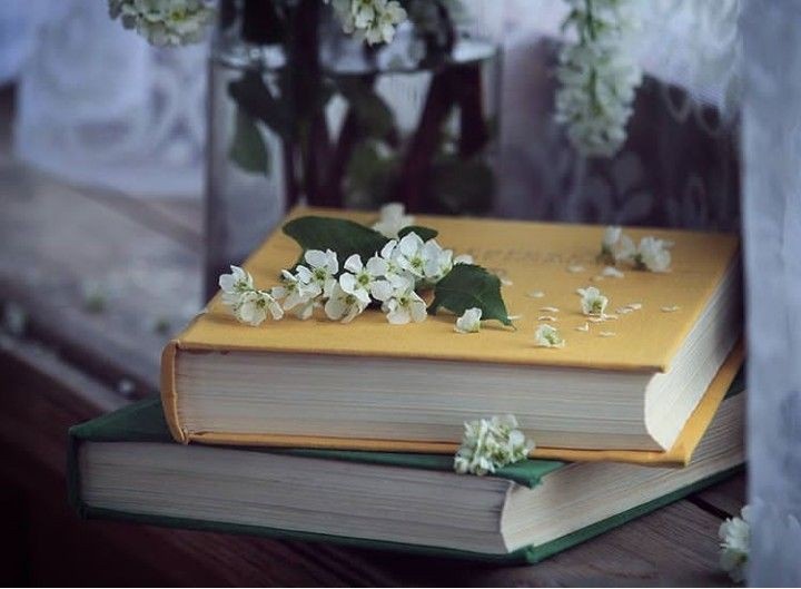 Изображение взято из пространства интернета