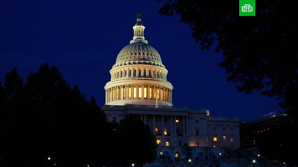    Фото: Darren Halstead / unsplash.com