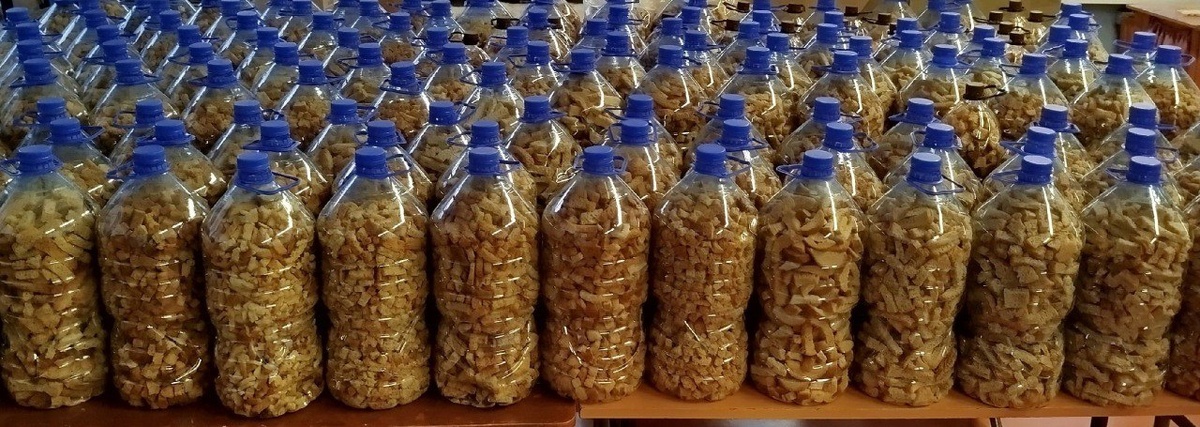    Фото: Telegram-канал «Мэрия Красноярска»