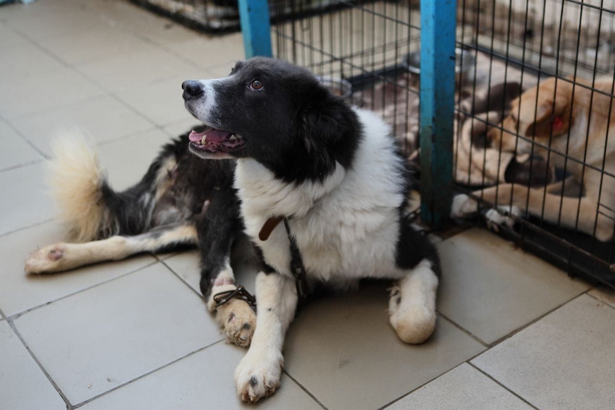 Заслуживает особой любви и внимания.