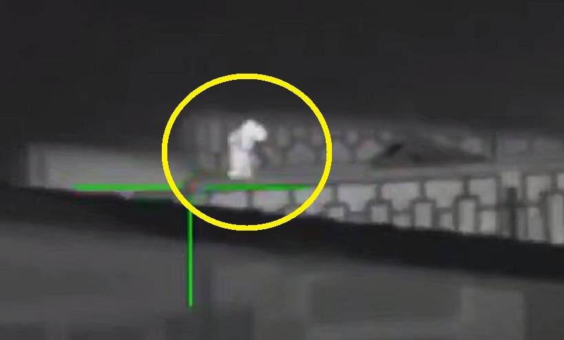    Источник фото: скрин видео t.me/sluchilos_v_pk