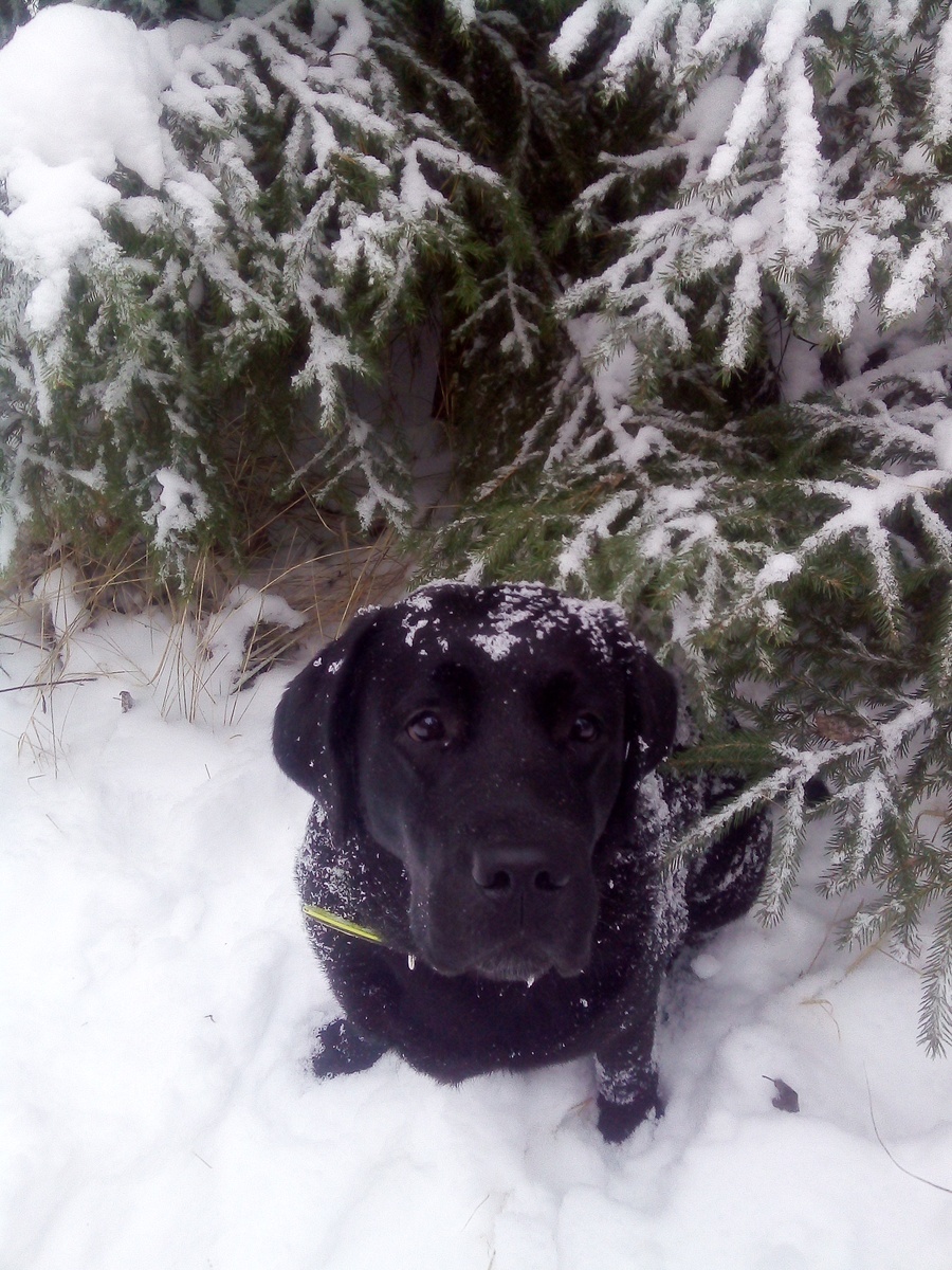 Фото автора.