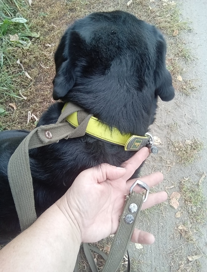 Фото автора.