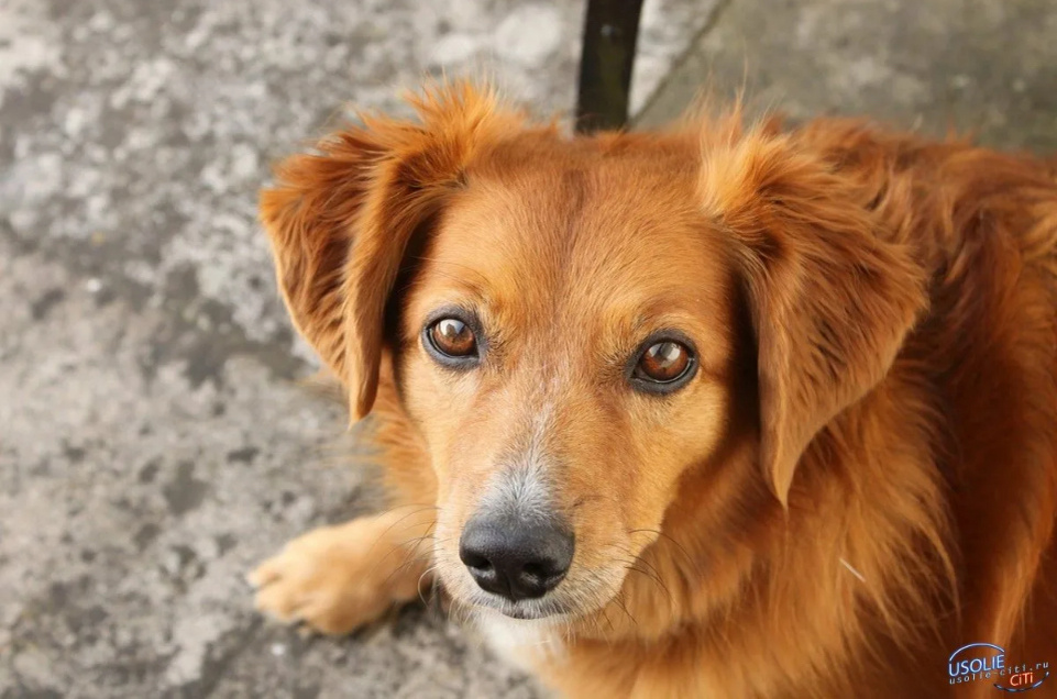 Яндекс.картинки для обложки